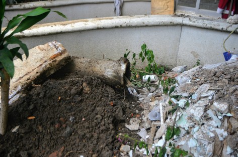 Al mediodía de hoy se rumoró que habrían encontrado restos óseos durante las excavaciones de la remodelación del centro de salud Gastón Melo ubicado en el centro de Xalapa.