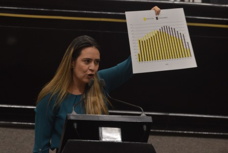 Los diputados panistas con carteles, pancartas intentaron frenar la restructuración de la deuda, la cual explicaron, endeudarán a Veracruz por 20 años más.