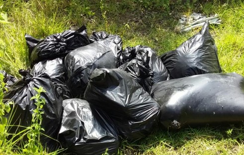 En el interior de 12 bolsas de plástico negras fueron hallados la tarde de este jueves, los restos de al menos 8 personas del sexo masculino a un costado de la autopista Puebla-Córdoba a la altura de Paso Conejos, autoridades ministeriales tomaron conocimiento. 