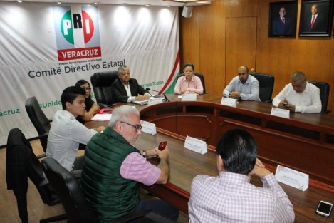Este domingo los priistas en toda la República acudieron a las urnas para elegir a su nueva dirigencia nacional. Sin mayores incidentes, según reportes preliminares, se llevó a cabo el proceso. 