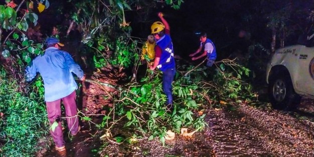 Encabezada por el alcalde Mario A. Chama, la brigada se dio a la tarea de retirar piedras, ramas, troncos, se atendieron deslaves y arboles que en su caída bloquearon caminos en su totalidad, así como domicilios que en su estructura se vieron dañados por los fuertes vientos. 