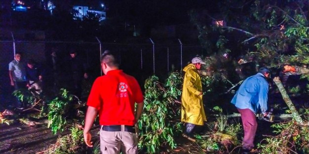 La brigada de emergencia de Teocelo está conformada por agrupaciones de Protección Civil Teocelo, Seguridad Pública, Servicios Generales, Fomento Deportivo, Parques y Jardines.  