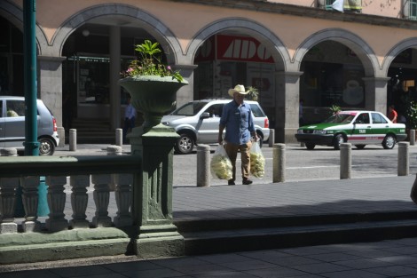 Mientras algunos adultos mayores,y no tan mayores, disfrutan de jugosas pensiones, otros, a pesar de los apoyos del Gobierno Federal, aún se ven en la necesidad de salir a buscar su sustento con trabajos dignos pero pesados y mal pagados. 