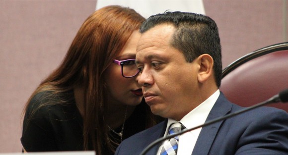 Aspectos de la diputación permanente.