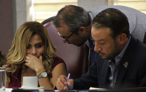 Aspectos de la diputación permanente.