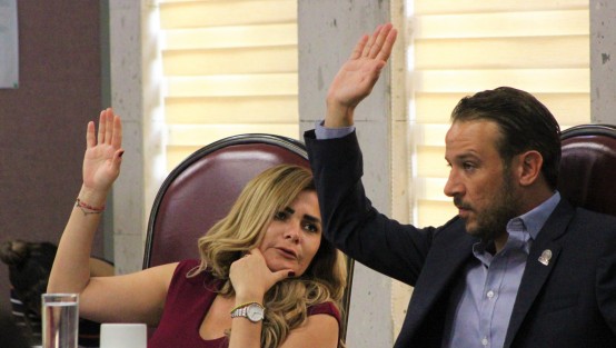 Aspectos de la diputación permanente.