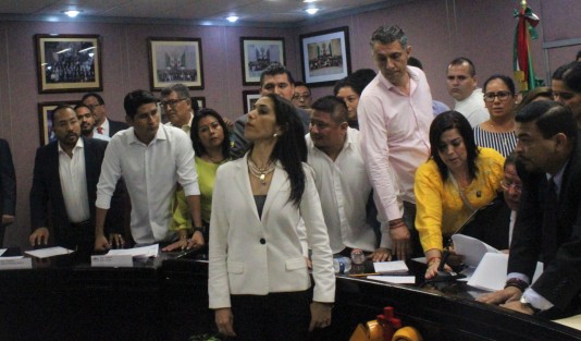 En su lugar fue designada Verónica Hernández Giadans. 
