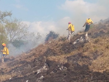 a Secretaría de Medio Ambiente (SEDEMA), a través de sus brigadas forestales, realiza una importante labor en el combate de incendios que ocurren en las zonas boscosas de la entidad, cumpliendo así con las metas del Protocolo de atención para combatir y controlar estos eventos y prevenir sus efectos.