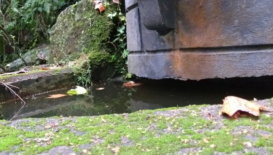 Los que se han convertido en unos verdaderos focos de infección  son las fuentes y monumentos olvidados de la ciudad de Xalapa y es que con lo del dengue, zica, chiquigunya y demás, los mosquitos aprovechan para poner sus huevecillos en estos sitios.  Por 