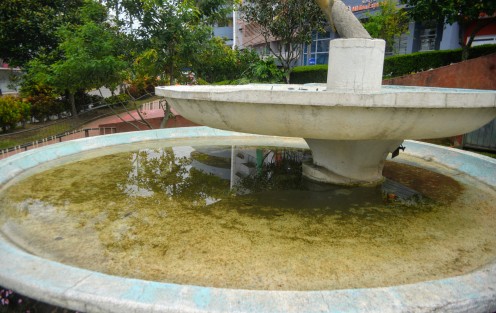 Los que se han convertido en unos verdaderos focos de infección  son las fuentes y monumentos olvidados de la ciudad de Xalapa y es que con lo del dengue, zika, chikungunya y demás, los mosquitos aprovechan para poner sus huevecillos en estos sitios.   