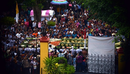 Cientos de ciudadanos del municipio de Coatepec, Ver.,  participan en la elaboración de tapetes y arcos florales para celebrar a su santo patrono, San Jerónimo, los arcos son bajados hasta la diferentes iglesias del pueblo. 