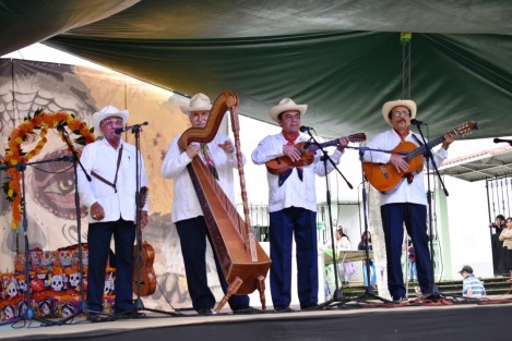 Festival de décima y son será en noviembre en el municipio de Tlapacoyan. 
