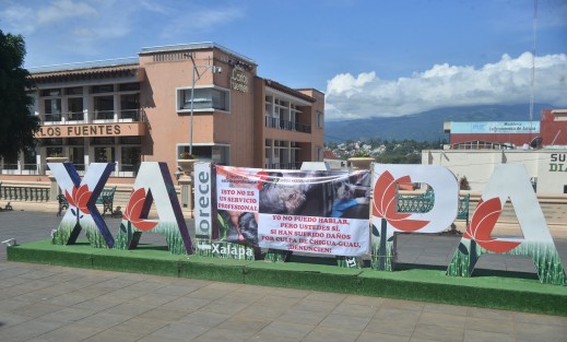 Una persona aprovechó las letras de la ciudad de Xalapa para colgar una lona y quejarse de una estética local canina que presuntamente lastimó a su mascota.