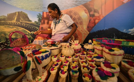 Con muestras de artesanos  de varios puntos del estado, los visitantes pudieron disfrutar de algunas cosas que se producen en Veracruz.