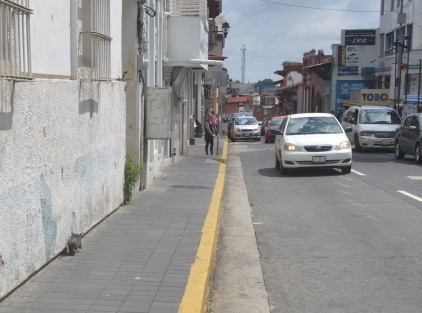 ¿Será que ante la proximidad de los comicios electorales ya se empezaron a ver las mascotas electoreros por el centro de Xalapa?