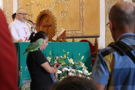 Decenas de mascotas recibieron la bendición en la Iglesia de San José, con motivo de la festividad de San Francisco de Asís, patrono de los animales y protector de la naturaleza. 