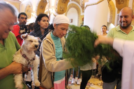 Decenas de mascotas recibieron la bendición en la Iglesia de San José, con motivo de la festividad de San Francisco de Asís, patrono de los animales y protector de la naturaleza. 