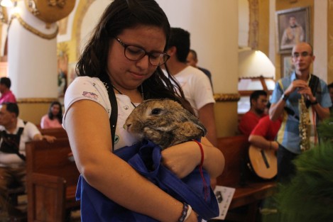 En su mayoría perros, fueron llevados a la iglesia de San José para que recibieran la bendición, pero también se vieron otras especies, como: gatos, tortugas, gallos y gallinas, cotorras y periquitos, entre otras más. 