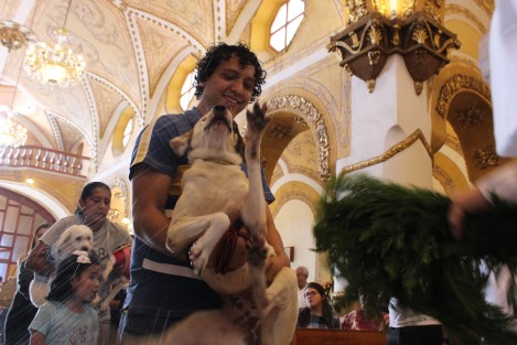 Esta es una forma en que se invita a los feligreses a respetar y proteger a todos los seres vivientes, tal y como lo hacía San Francisco de Asís. 