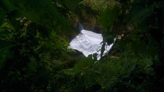 El cuerpo de una joven mujer fue hallado la mañana de este  jueves en el lugaar conocido como La Composta, en el municipio de Paso del Macho, Ver. Al parecer se trata de una joven que se encuentra desaparecida desde hace algunas semanas. 