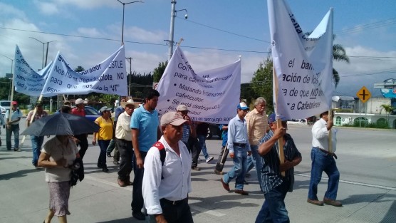 Cafetaleros de la región de Coatepec marcharon hasta Xalapa para exigir apoyo al Gobierno Estatal y Federal, se manifestaron en Plaza Lerdo por los bajos precios del café arábigo.  