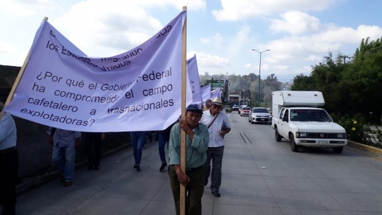 Cafetaleros de la región de Coatepec marcharon hasta Xalapa para exigir apoyo al Gobierno Estatal y Federal, se manifestaron en Plaza Lerdo por los bajos precios del café arábigo.  