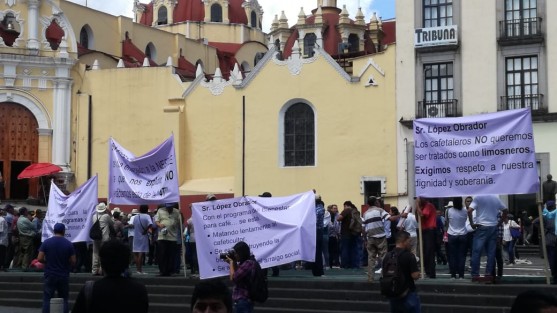 Cafetaleros de la región de Coatepec marcharon hasta Xalapa para exigir apoyo al Gobierno Estatal y Federal, se manifestaron en Plaza Lerdo por los bajos precios del café arábigo.  