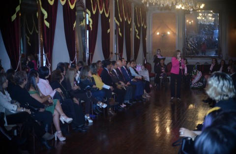 En el Casino Jalapeño de esta ciudad se realizó la conferencia magistral <em>Amándome y Recuperándome</em> impartida por la maestra Michelle Martínez, posteriormente se llevó a cabo el desfile de modas rosa encabezado por Fafalina Boutique y la señora Alba Esther Villa.  