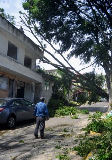 Debido a los fuertes vientos del frente frío 8, un árbol de la calle Antonio Nava de la colonia Mirador en Xalapa, justo frente a la Legislatura, cayó sobre dos casas. Por fortuna solo hubo daños materiales en una de las viviendas. 