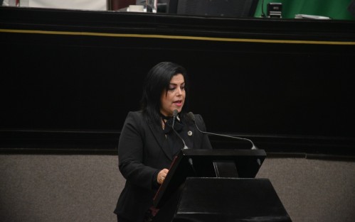 La diputada Rosalinda Galindo plateó una reforma para proteger a víctimas de violencia familiar.  El Ministerio Público ordenaría las medidas preventivas necesarias para salvaguardar la integridad física o psíquica de la víctima, informando al juez para que decrete lo procedente. 