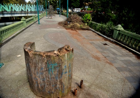 De esta forma se encuentra gran parte del Paseo de los Lagos, con basura y en el abandono por parte de las autoridades municipales.  En administraciones pasadas trataron de rescatar y rehabilitar esta parte de la ciudad, pero como se muestra en la gráfica, la falta de mantenimiento echa a perder cualquier proyecto 
