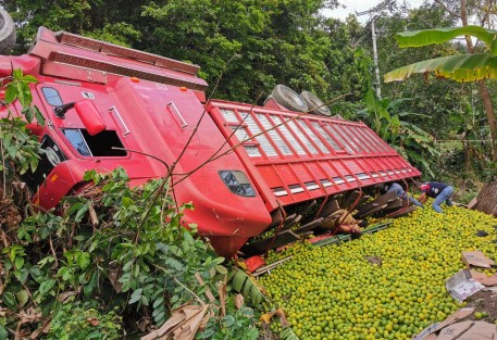 4 muertos y 10 lesionados dejó como saldo la volcadura de camión cargado con 12 toneladas de naranja en la carretera Papantla a  Las Cazuelas, la tarde de este lunes.