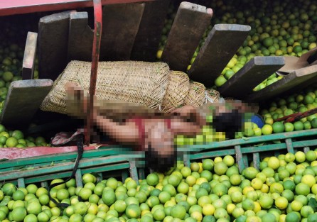 4 muertos y 10 lesionados dejó como saldo la volcadura de camión cargado con 12 toneladas de naranja en la carretera Papantla a  Las Cazuelas, la tarde de este lunes.