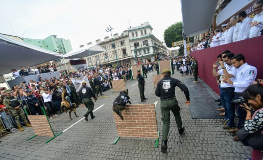 Personal de los diversos agrupamientos de los cuerpos de seguridad realizaron demostraciones durante el desfile. 