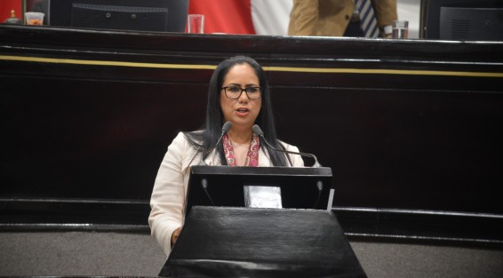 La diputada María Esther López Callejas, presentó una Iniciativa con proyecto de decreto que adiciona diversas disposiciones a la Ley Orgánica del Poder Ejecutivo del Estado y al Código Penal estatal, con la finalidad de regular las acciones que llevan a cabo las personas que se dedican al oficio de cerrajería.