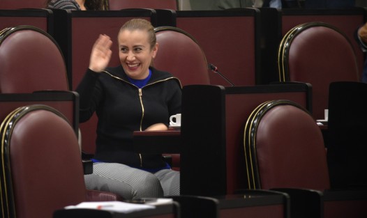 Nora Jessica Lagunes plantea reformar diversas leyes para que la ausencia -temporal o definitiva- del Contralor sea suplida por el servidor público de rango inmediato inferior. 