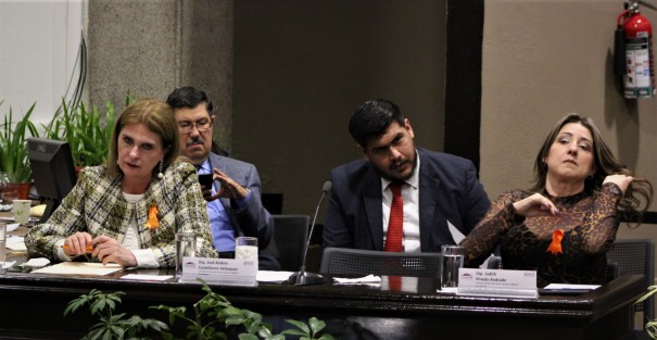 La Comisión de Desarrollo Social, Humano y Regional, integrada por el diputado José Andrés Castellanos Velázquez, presidente, así como por las diputadas Judith Pineda Andrade y María Candelas Francisco Doce, secretaria, y vocal respectivamente, recibió la comparecencia del titular de SEDESOL en los términos que establece el Artículo 154 del Reglamento para el Gobierno Interior del Poder Legislativo del Estado de Veracruz de Ignacio de la Llave.