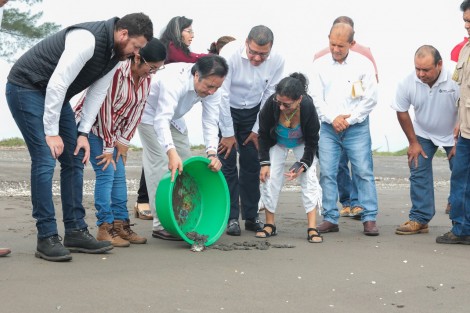 En la localidad Raudal de las Flores, participó en la liberación de aproximadamente 600 ejemplares y realizó un recorrido para conocer las principales acciones de monitoreo y conservación, además de futuros proyectos de investigación. 