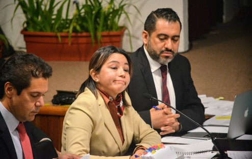 Con muy poco interés de parte de diputados, medios de comunicación y público en general (aplaudidores) se realizó la penúltima comparecencia;  ésta corrió a cargo de la contralora general del Estado, Mercedes Santoyo Domínguez, ante la Comisión de Hacienda. 