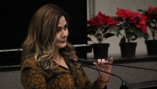 Las bancadas panistas fueron las que mayores reclamos hicieron al gobernador Cuitláhuac García. La diputada María Josefina Gamboa le reclamó por la destitución del  exfiscal Jorge Winckler.  