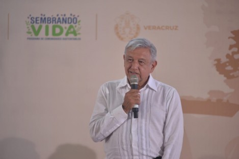 El titular del Ejecutivo Federal anunció que para 2020, se ampliará en Veracruz este programa pasando de 159 a 169 mil 500 hectáreas, generando empleos a cerca de 70 mil sembradores, lo que refleja el compromiso de este gobierno de no sólo apostarle a las inversiones extranjeras sino también al campo: la fábrica más importante del país.  