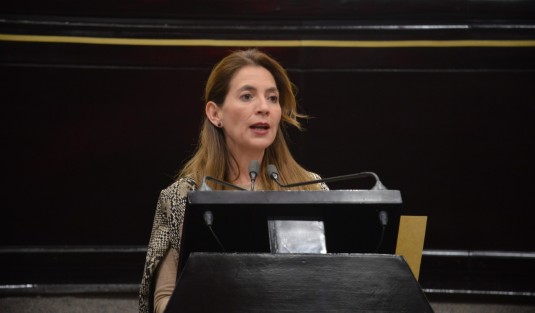 La diputada Ana Miriam Ferráez Centeno, en nombre del Grupo Legislativo de Morena, presentó la Iniciativa de Ley que Regula la Prestación de Servicios para la Atención, Cuidado y Desarrollo Integral Infantil en el Estado.  