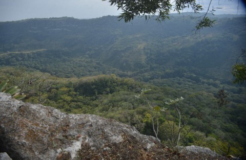 Restos  humanos  de al menos 5 personas fueron localizados en la barranca de Cerro Gordo,municipio de Emiliano Zapata.