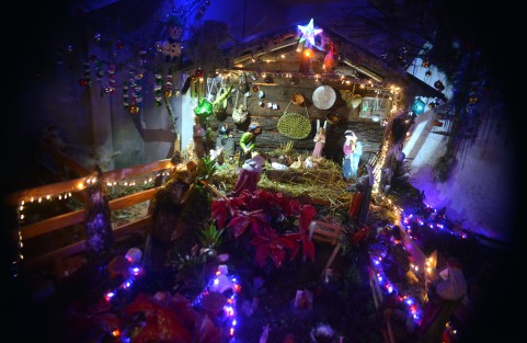  En Miahuatlán, Ver., pese a las dificultades económicas se mantiene la tradición de colocar los Nacimientos, tradición iniciada por San Francisco de Asís para recordar el nacimiento de Jesús en un portal, misma que en este año el Papa Francisco recomendó a los fieles seguir conservando.  