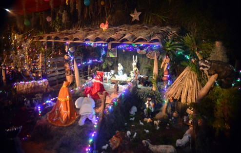  En Miahuatlán, Ver., pese a las dificultades económicas se mantiene la tradición de colocar los Nacimientos, tradición iniciada por San Francisco de Asís para recordar el nacimiento de Jesús en un portal, misma que en este año el Papa Francisco recomendó a los fieles seguir conservando.  