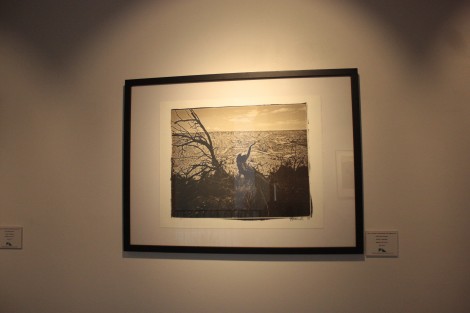 En la Galería Ramón Alva de la Canal se encuentra la exposición Ríos de Vida, de Byron Brauchli, en la cual presenta diversas variantes de técnicas fotográficas, en imágenes principalmente de la zona fronteriza México- Estados Unidos. 