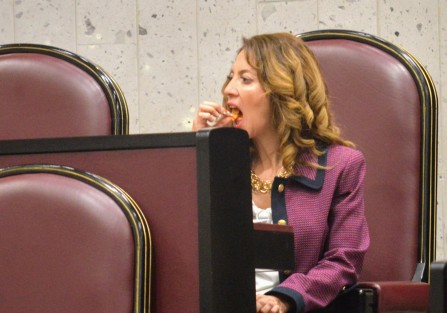 Con pantallas y mamparas prestadas la diputada local Ana Miriam Ferráez Centeno pretende informar a los xalapeños del Distrito XI  de las propuestas hechas en un año en favor de los capitalinos.  