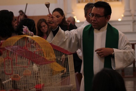 Al celebrarse el 17 de enero la festividad de San Antonio Abad, se llevó a cabo en la iglesia de Los Corazones, de la ciudad de Xalapa, la bendición de animales. 