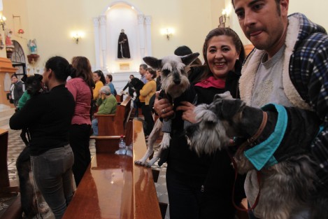 Al celebrarse el 17 de enero la festividad de San Antonio Abad, se llevó a cabo en la iglesia de Los Corazones, de la ciudad de Xalapa, la bendición de animales.  