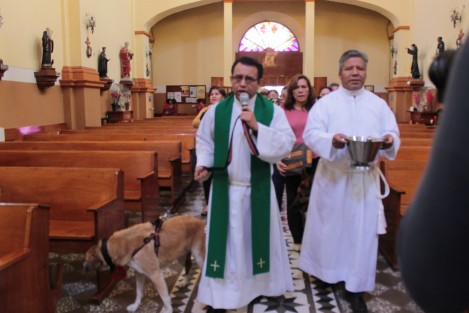 Al celebrarse el 17 de enero la festividad de San Antonio Abad, se llevó a cabo en la iglesia de Los Corazones, de la ciudad de Xalapa, la bendición de animales.  